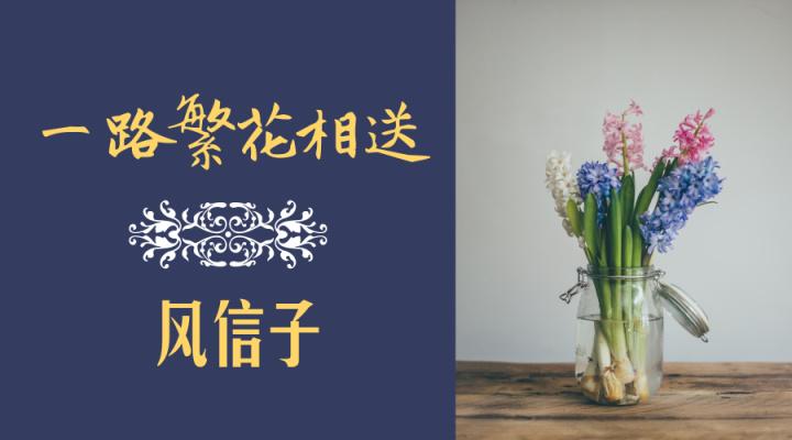 只有努力成长,才能证明你是风信子而不是洋葱