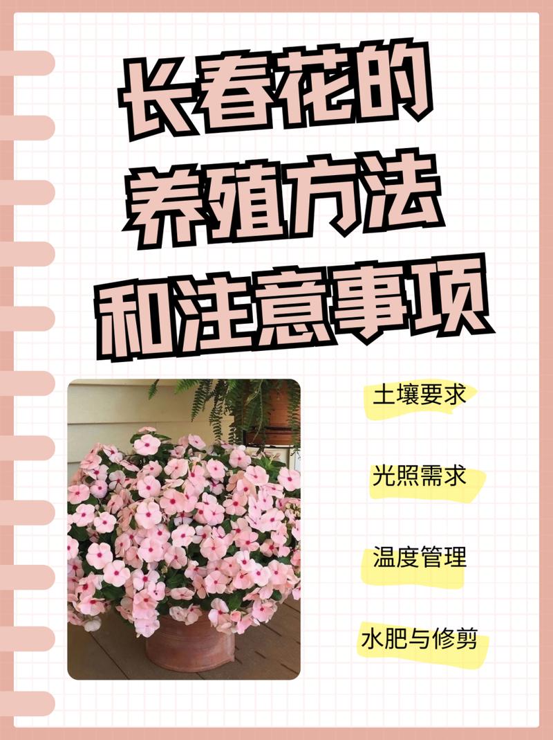 如何养殖花草