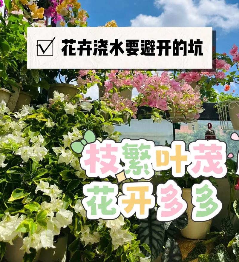 种植花卉的具体步骤