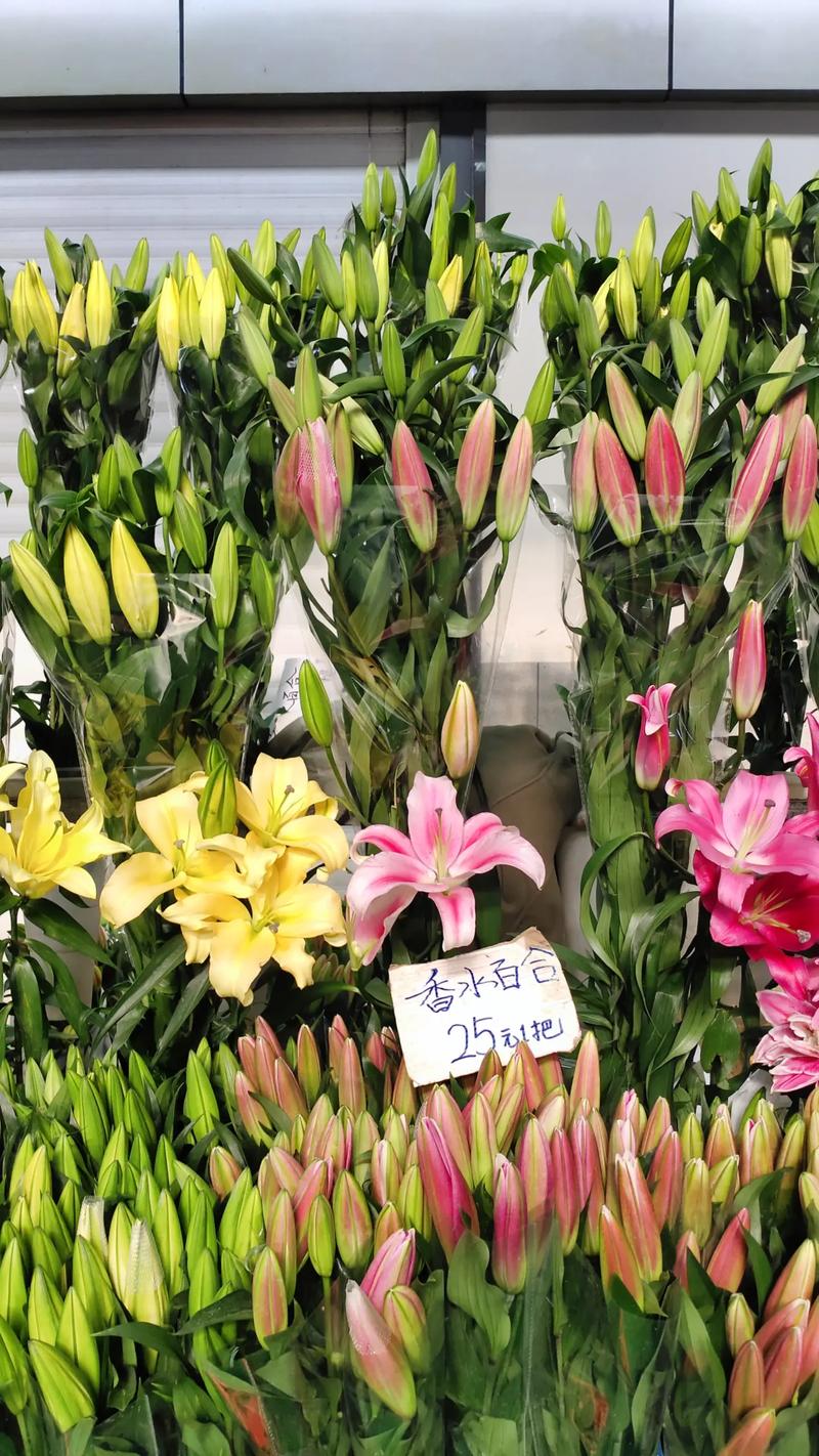 新手从花卉市场买的花如何养活
