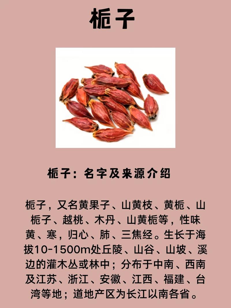 栀子花的功效和作用