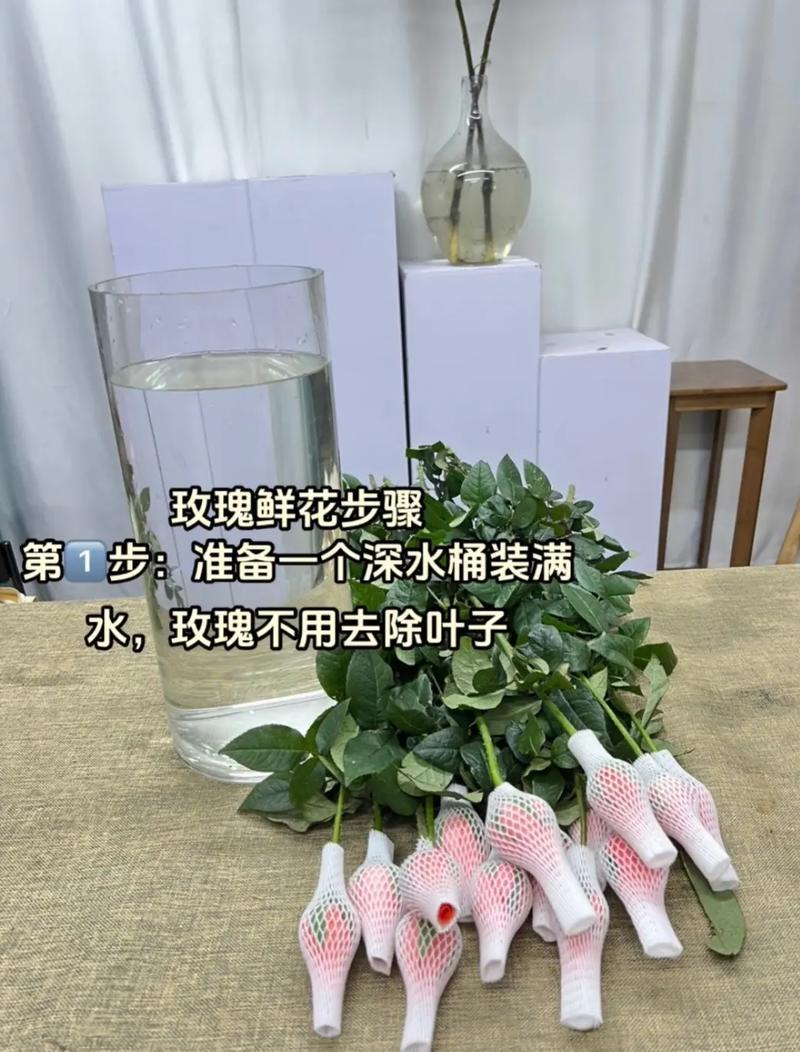 玫瑰醒花后还是不开怎么办