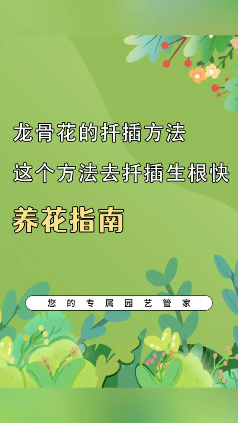 龙骨怎样扦插