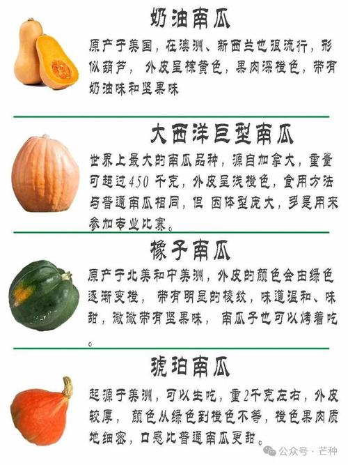 南瓜是热性还是凉性食物