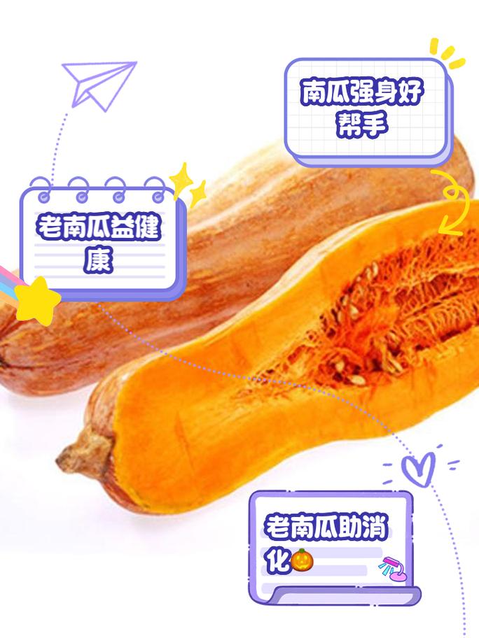 南瓜是热性还是凉性
