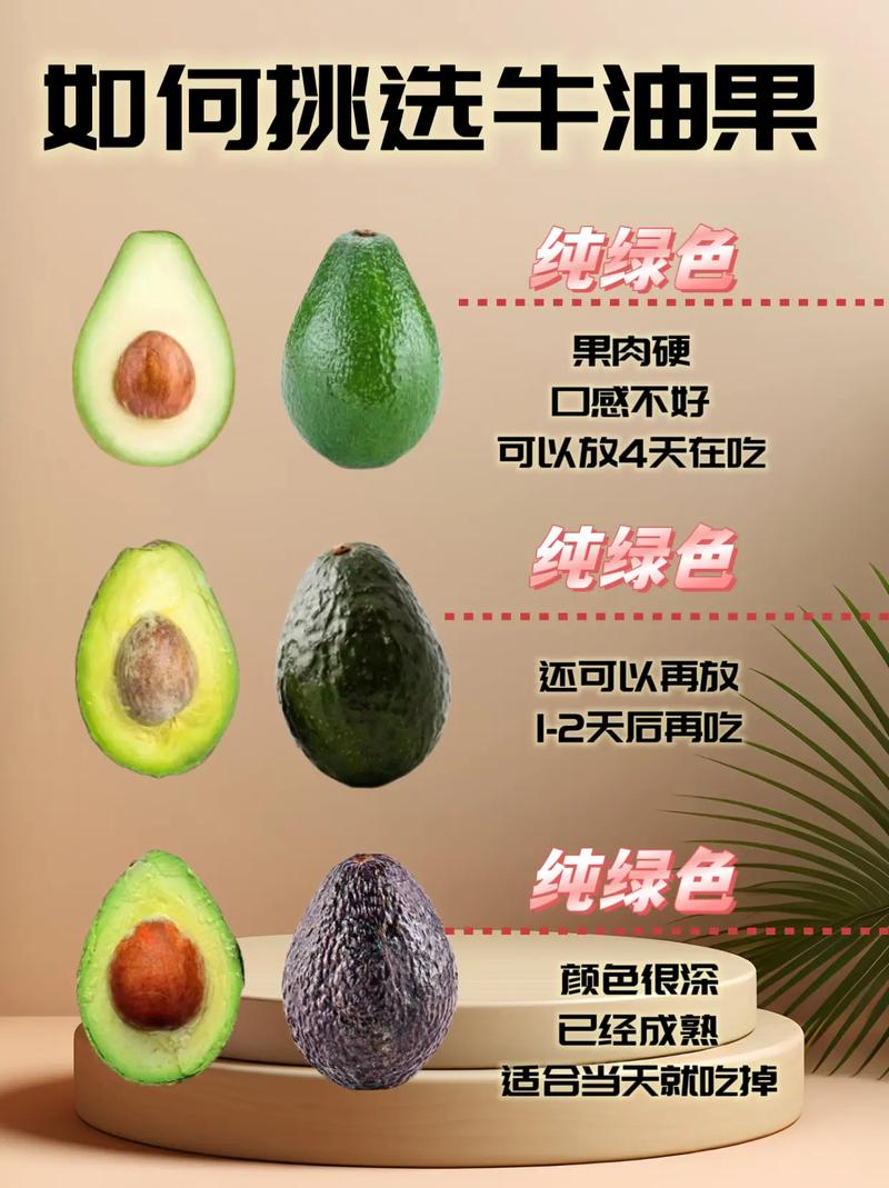 牛油果多久吃一次最佳