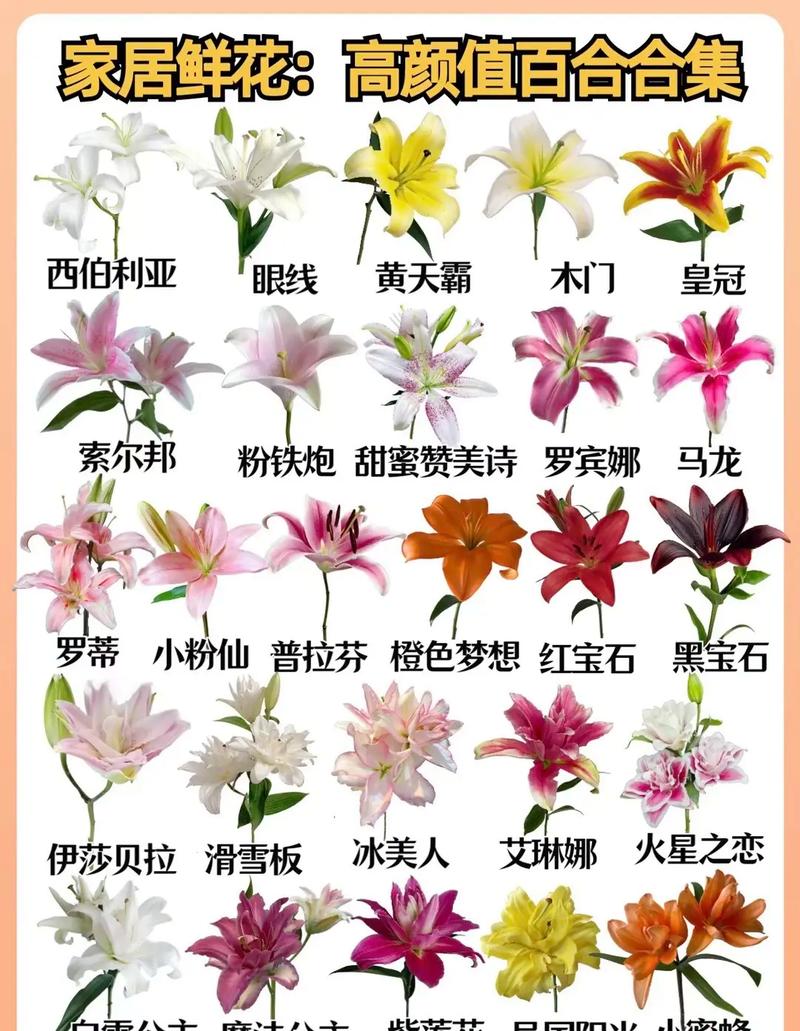 鲜花有哪几种意思啊,你们知道吗?