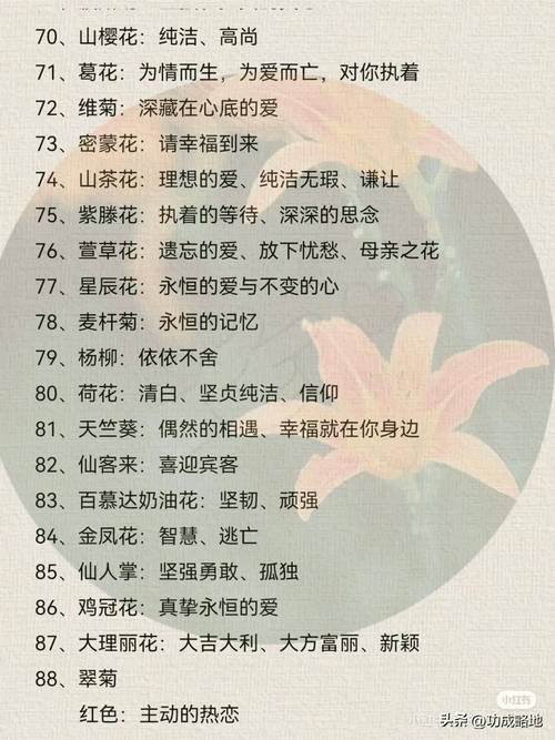 各种不同的鲜花代表了什么含义?