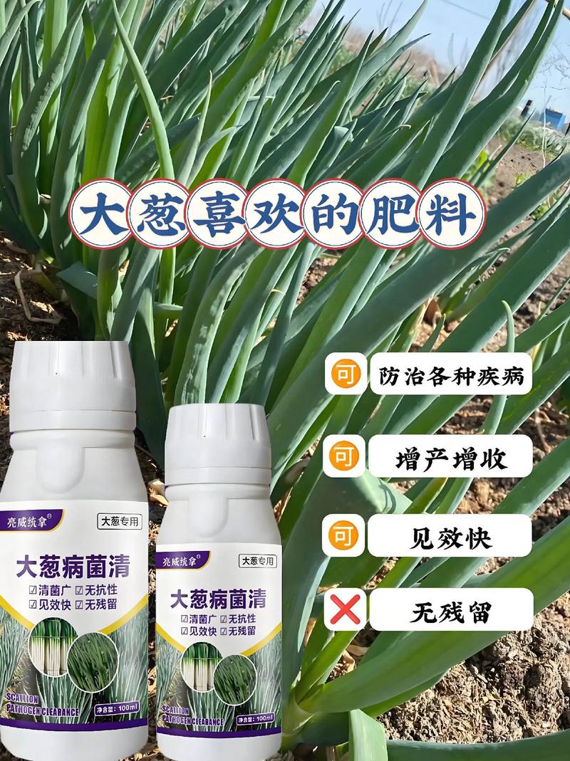 葱兰施肥方法,用什么肥好