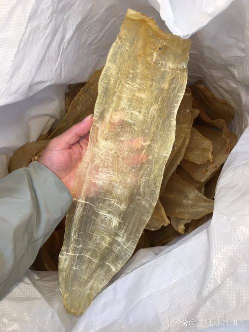 竹叶花椒指的是哪种胶