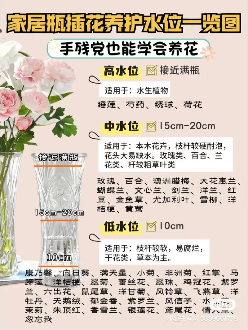 家庭养花的禁忌事项