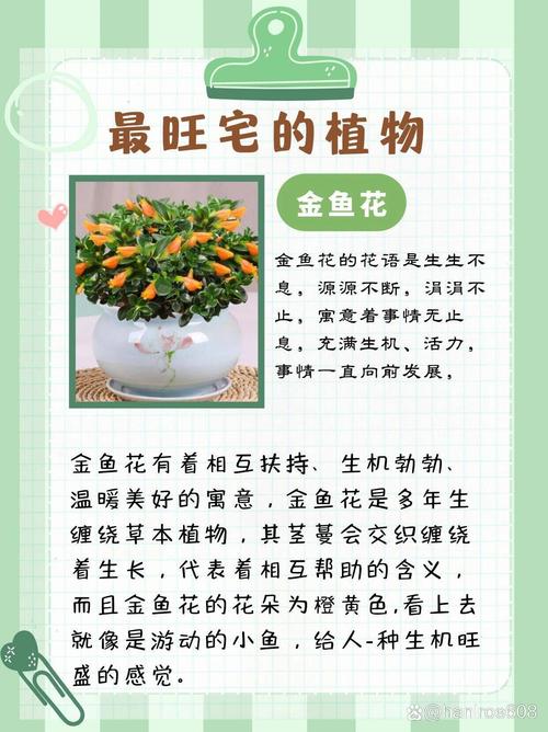 家庭养花风水有哪些禁忌