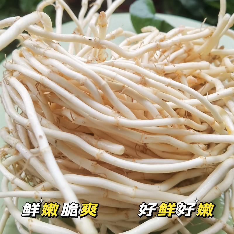 鱼腥草和折耳根是一样的吗