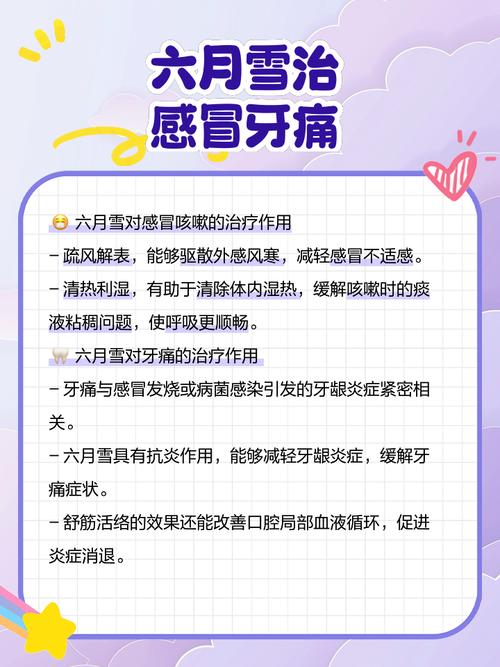 六月雪的功效与作用有哪些