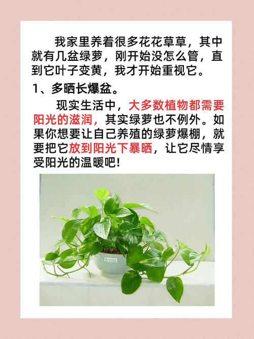 绿萝浇什么水才能长得更旺盛