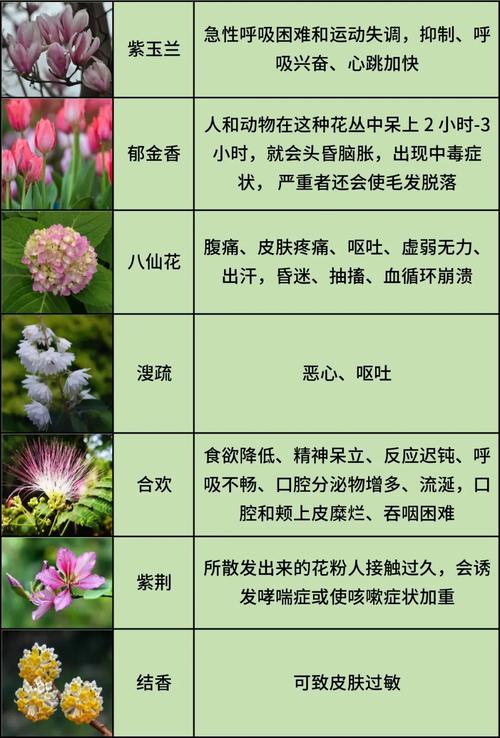 哪些花卉对儿童有中毒风险?