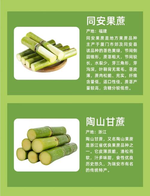 女人吃甘蔗的好处和坏处