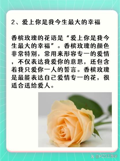 香槟玫瑰花语11朵寓意
