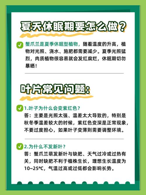 蟹爪兰用什么土养殖比较好