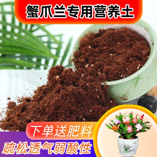 蟹爪兰可以用营养土吗