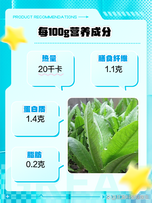 窝笋的营养价值及功效