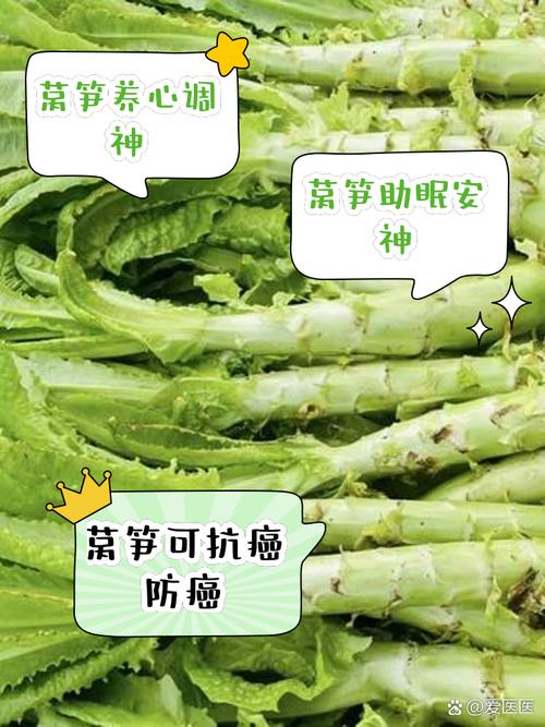 莴笋的功效与作用及营养价值是什么