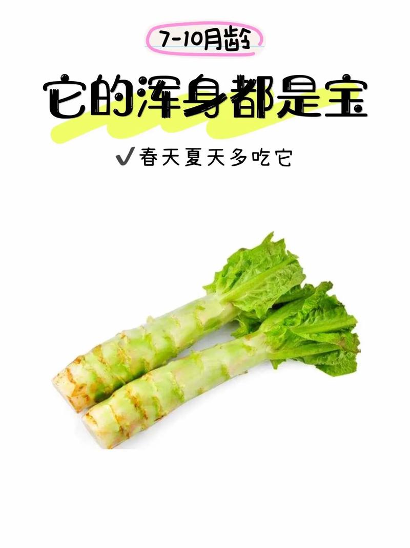 莴笋的营养价值及功效