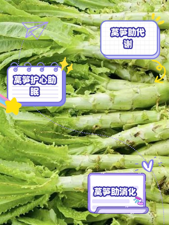 莴笋的营养价值是什么
