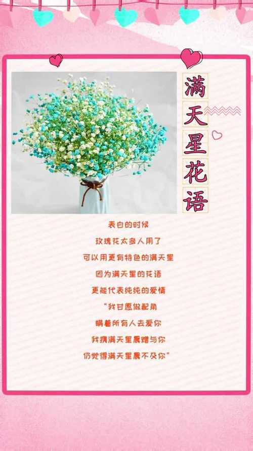 满天星的花语