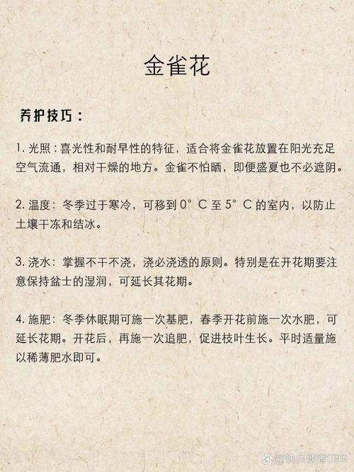 朱雀花多久浇水
