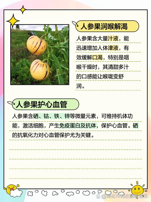 人参果的营养价值与功效