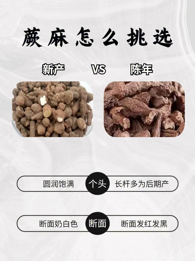 海南人参果的功效与作用