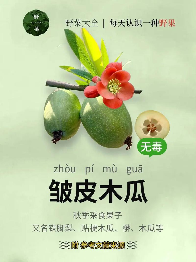 皱皮木瓜的养殖方法