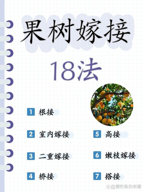 李子树怎么嫁接