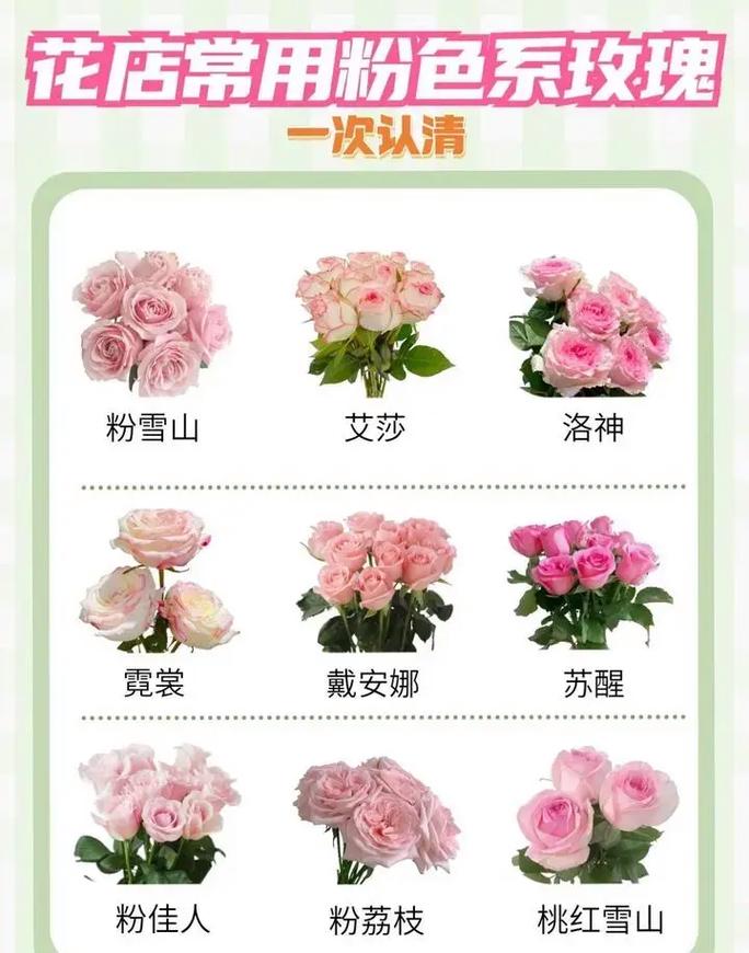 粉色玫瑰代表什么意思?