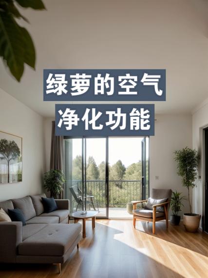 绿萝的空气净化功能