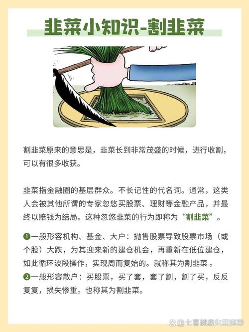 韭菜的作用与功效