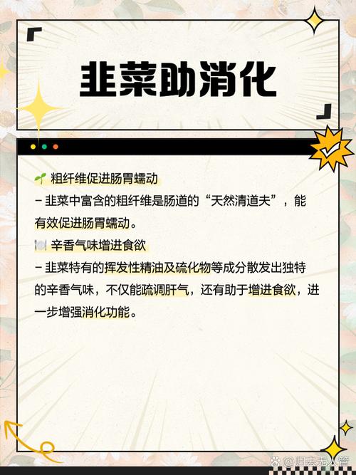 韭菜的功效与作用与主治