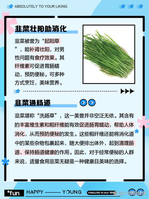 韭菜的功效与作用及食用方法