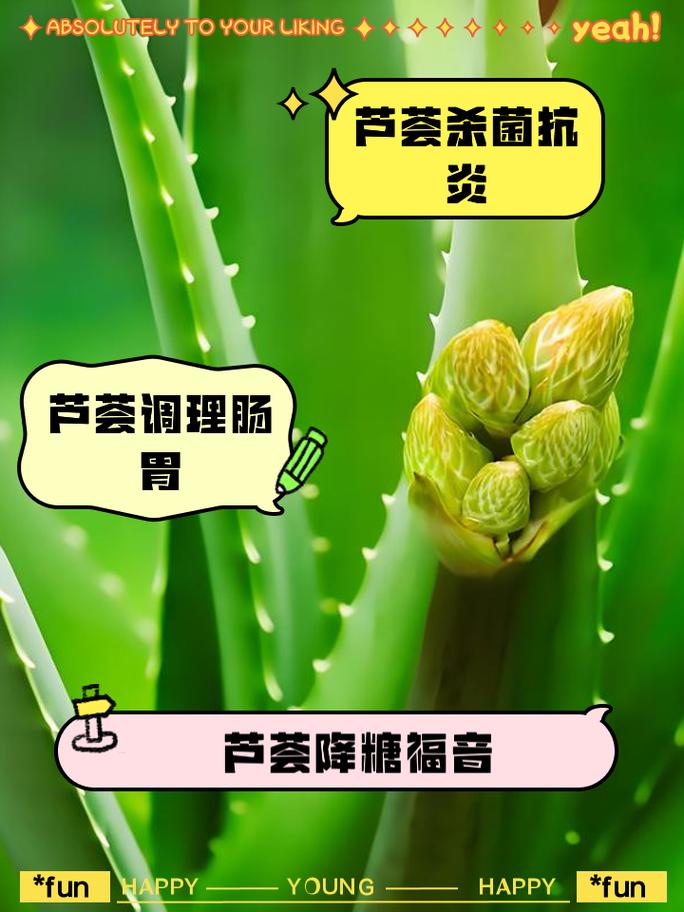 芦荟是用什么繁殖的