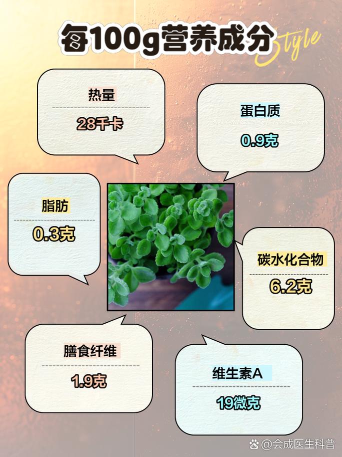 碰碰香的药用功效及其作用
