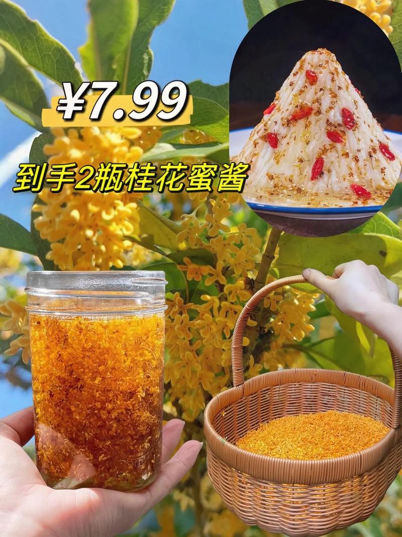 桂花如何食用,桂花的吃法和功效