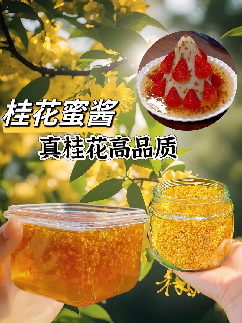 桂花的用途和价值与吃法