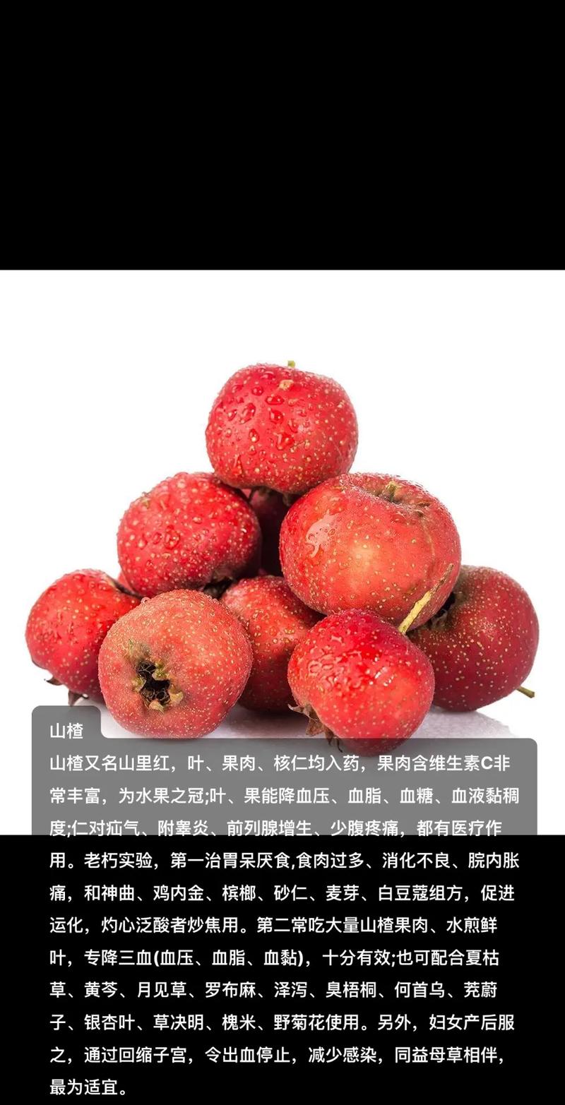 山楂的寓意和象征意义(为什么用山楂树比喻爱情)
