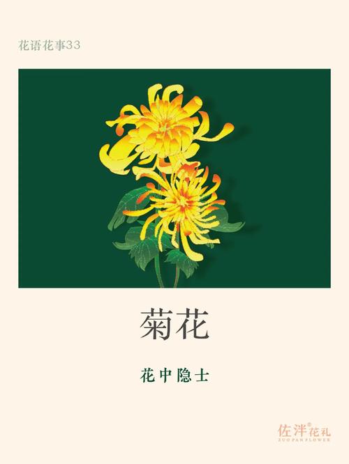 菊花的花语是什么?