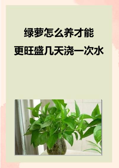 绿萝冻死了怎么办