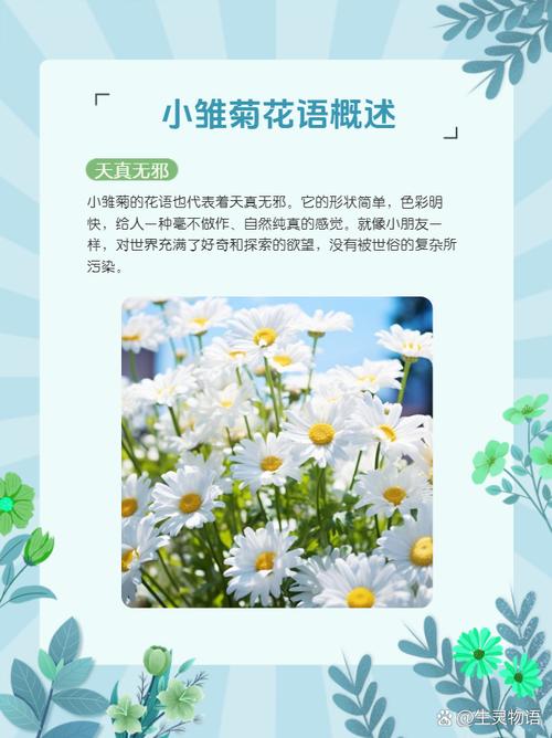 绿小菊的花语