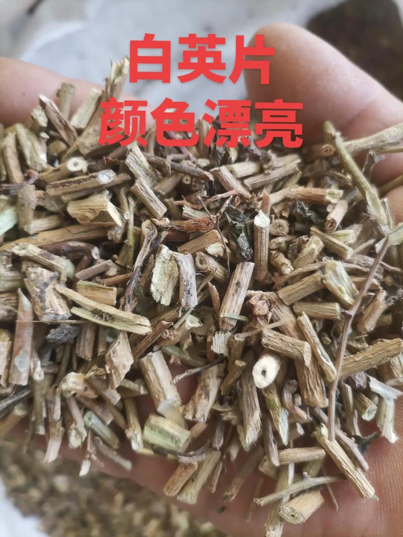 白英的作用以及功效