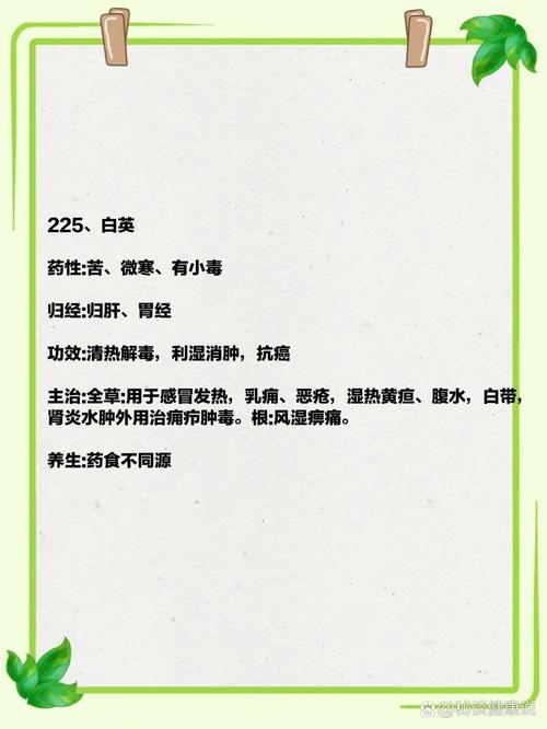 白英泡水喝有什么功效