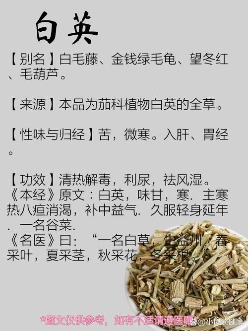 白英的功效与作用与主治
